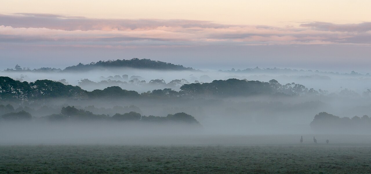 Mist lifting over the Dandenong Ranges in Victoria at dawn